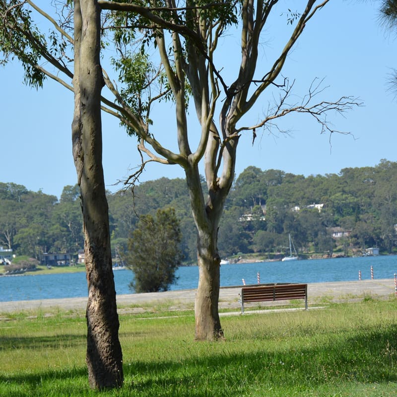 Catalina Lakefront Retreat
